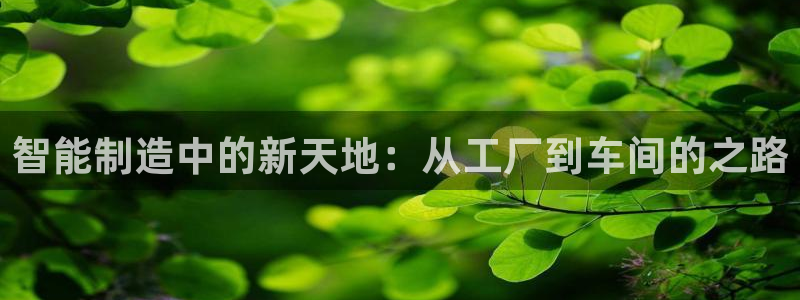星欧娱乐