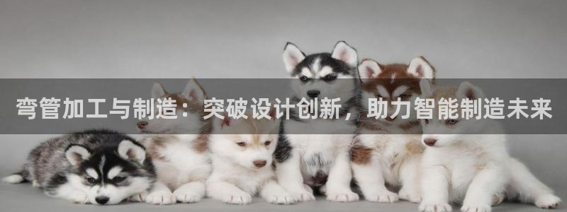 常州欧尚超市五星店娱乐
