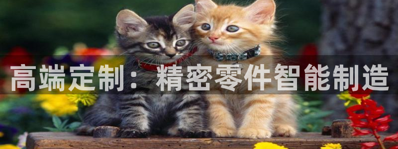 星欧娱乐官方客服