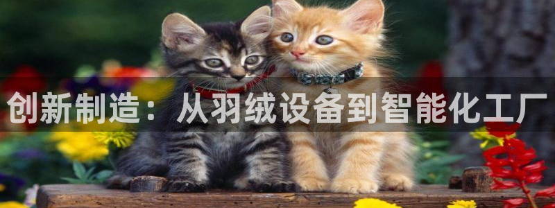 欧乐星城休闲娱乐