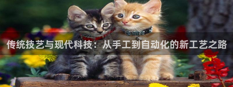 星欧娱乐606251