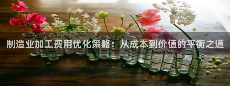 星欧娱乐是什么平台