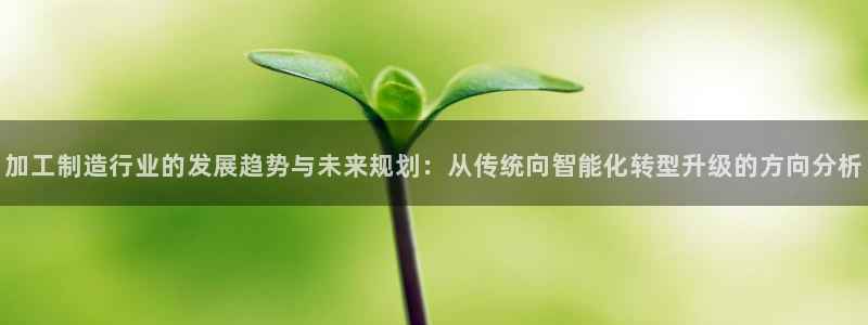 星欧娱乐平台是什么