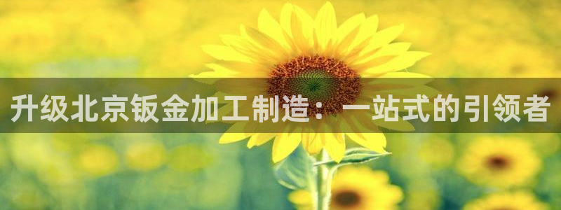 欧米星创文化娱乐