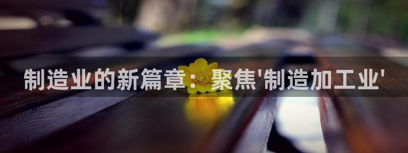 星欧娱乐银行卡怎么登录