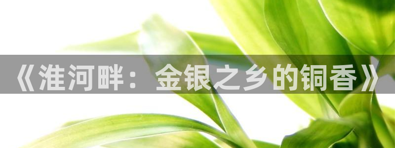 星欧娱乐最新消息