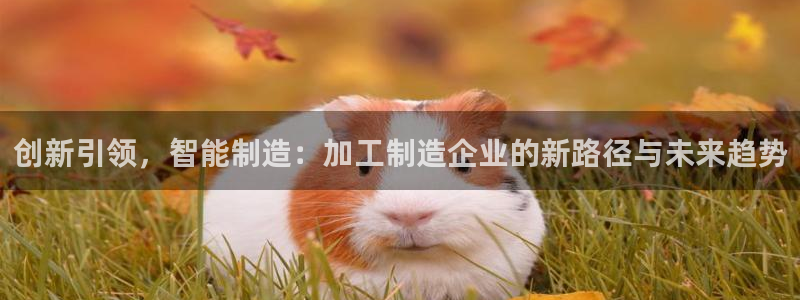 星欧娱乐开户