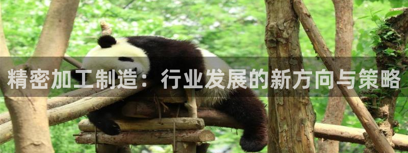 欧乐星城儿童娱乐