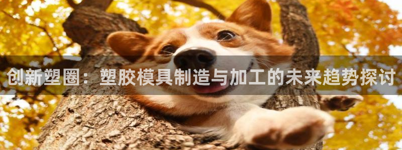 星欧娱乐登录入口