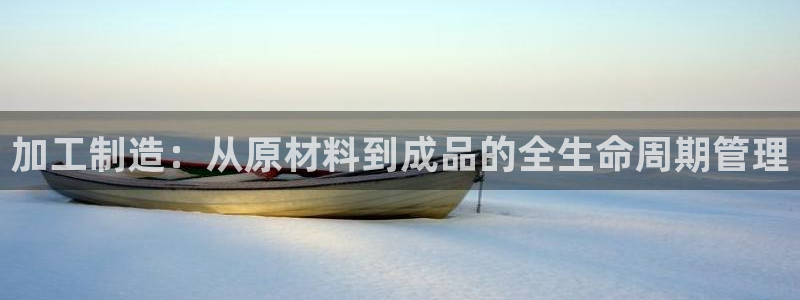 星辉娱乐进入欧联杯