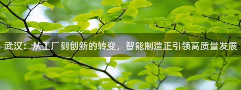 星辉娱乐进入欧连杯了吗