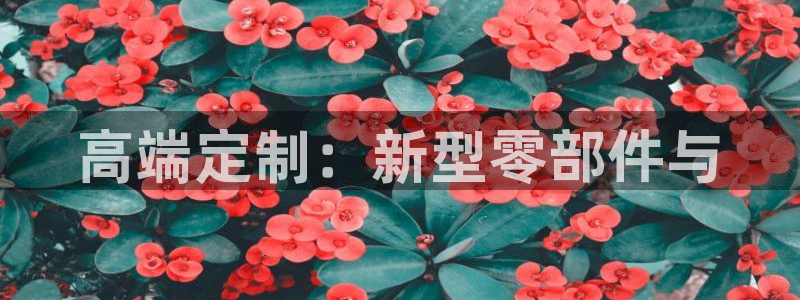 欧星娱乐的盘口