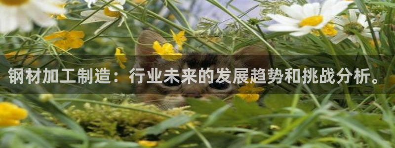 乌鲁木齐欧乐星娱乐