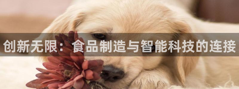 星欧娱乐注册官网