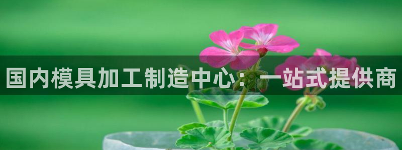 星欧娱乐银行卡怎么登录