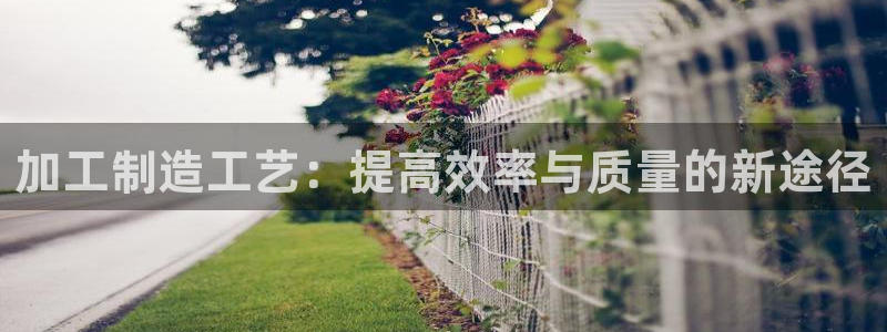 欧星科技娱乐公司