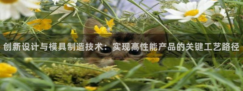 星欧娱乐是什么