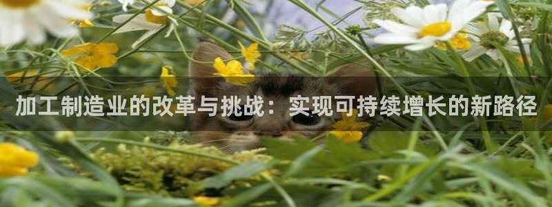 欧星娱乐电竞