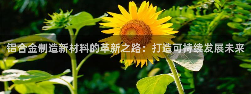 星欧娱乐平台测速线路