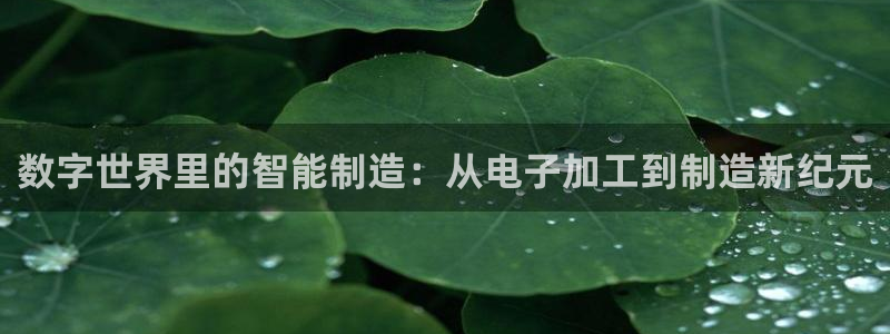 星欧娱乐伐官网注册
