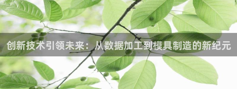 欧星娱乐08
