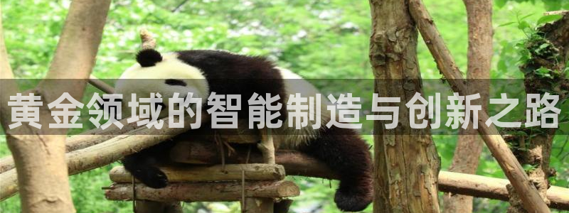 星欧娱乐最近怎么了