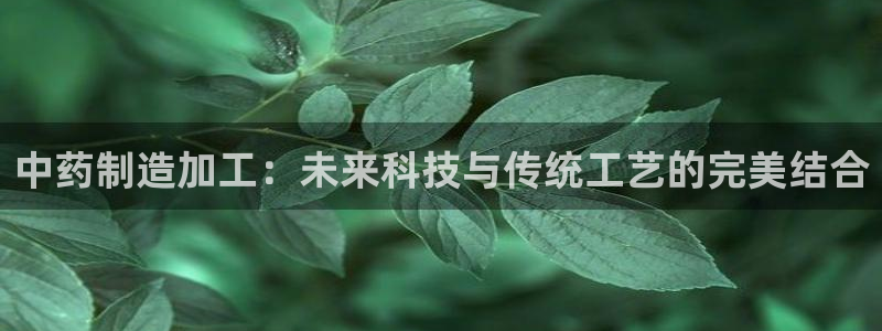 星辉娱乐欧联杯转播