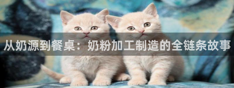 注册星欧娱乐需要多少钱