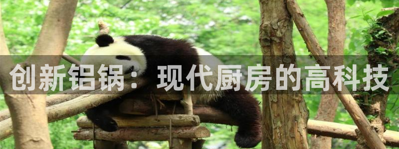 星欧娱乐倒闭了吗