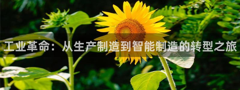 星欧娱乐客服人工电话