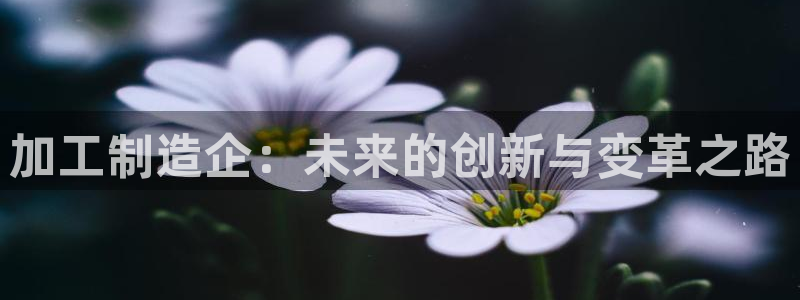欧豪娱乐星天地采访
