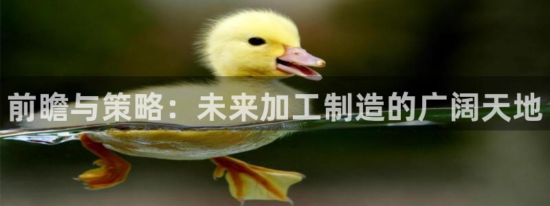 娱乐星扒客欧豪
