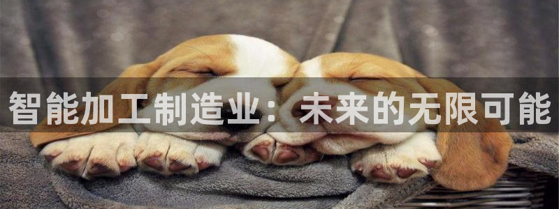 星欧娱乐公司老板背景