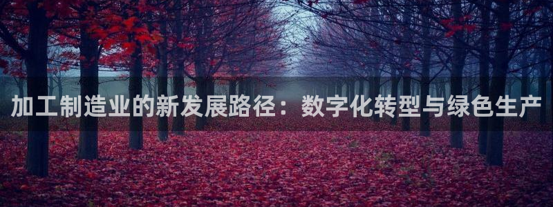 欧乐星城娱乐视频