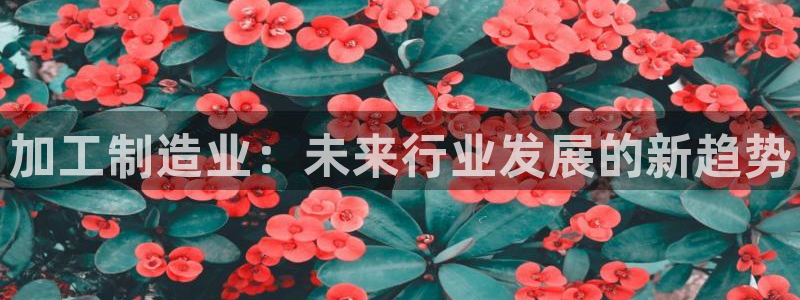星欧娱乐公司
