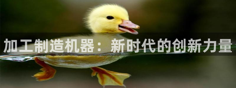 欧星线上娱乐