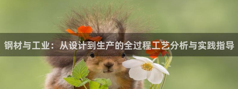 星欧娱乐经纪公司简介