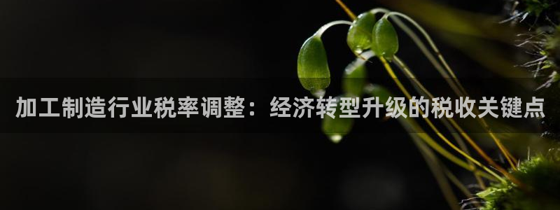 星欧娱乐是什么