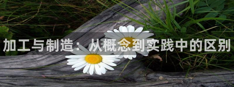 星饭娱乐欧豪