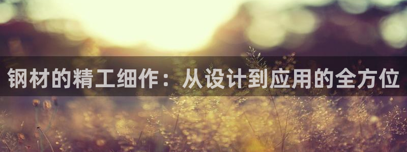 星欧娱乐公司老板背景