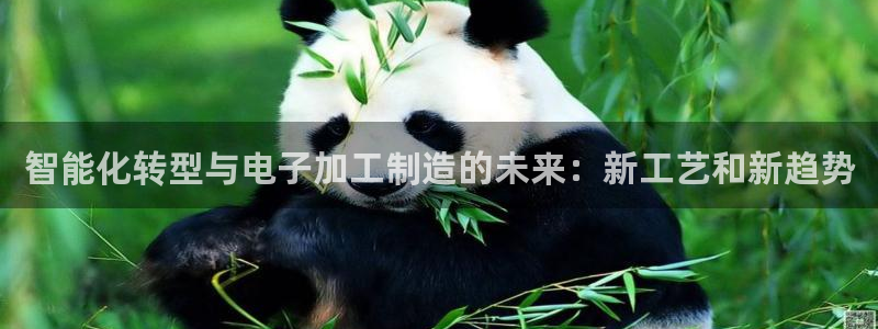 欧星老虎机娱乐