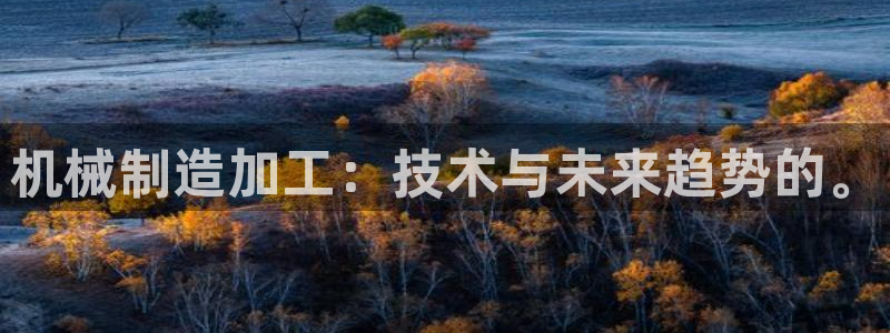 星欧娱乐注册官网入口