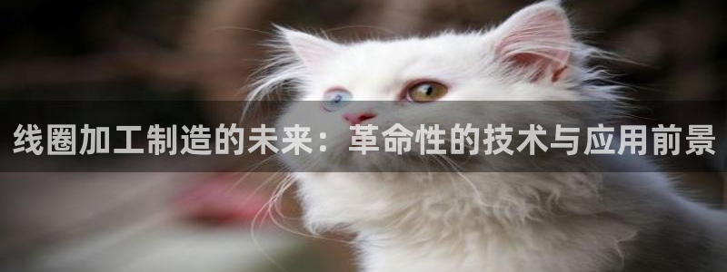 星欧娱乐注册官网