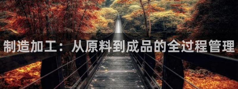 欧星娱乐国际平台