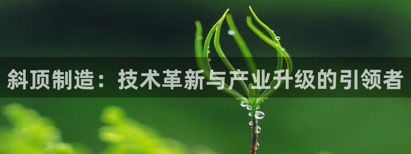 星欧娱乐是正规品牌吗