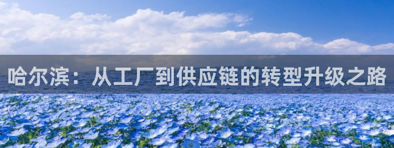 星欧娱乐官方微博