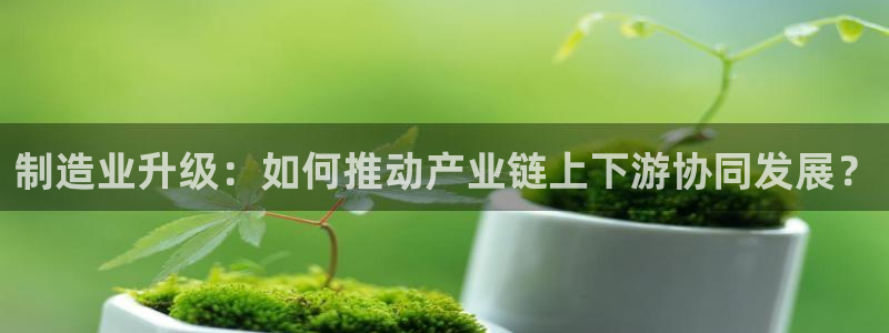 艾欧尼亚三星娱乐赛