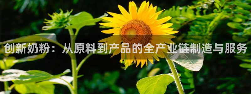 星欧娱乐最新动态消息