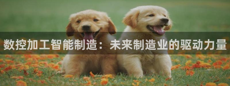 武汉欧汇星娱乐有限公司