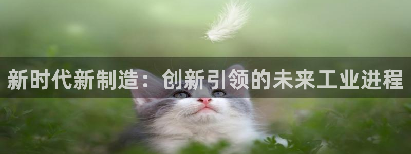 金欧岗星熠娱乐